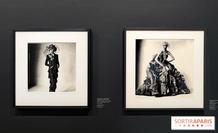 Irving Penn