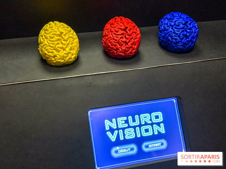 Magie à la Cité des sciences, l'expo qui explique pourquoi on se fait avoir