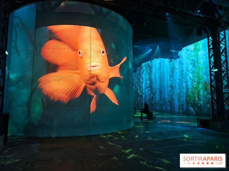 Plongez à la découverte de Planète Océan, l’exposition immersive de l’Atelier des Lumières