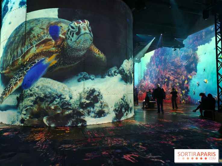 Plongez à la découverte de Planète Océan, l’exposition immersive de l’Atelier des Lumières