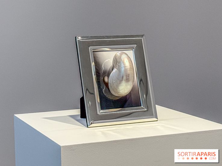 Hélène Fauquet : Vivresse, l’exposition entre bulles et coquillages à Lafayette Anticipations.