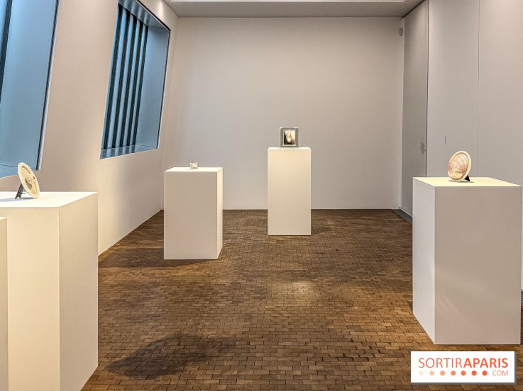 Hélène Fauquet : Vivresse, l’exposition entre bulles et coquillages à Lafayette Anticipations.