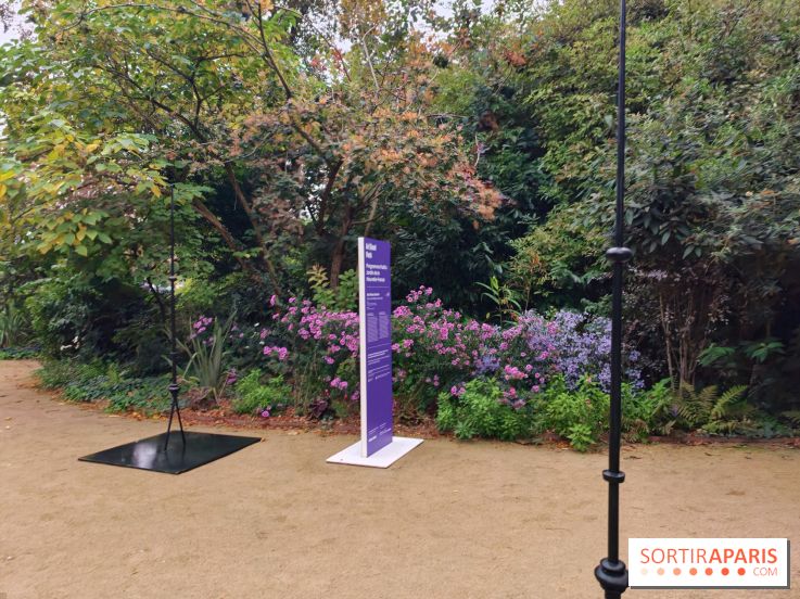 Art Basel 2026 : une installation éphémère à voir gratuitement au jardin de la Nouvelle-France
