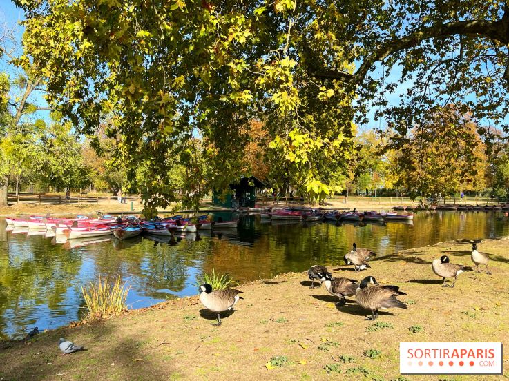 Les îles du Lac Daumesnil, une escapade dans le 12e arrondissement de Paris