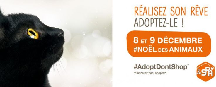 Noël Animaux SPA