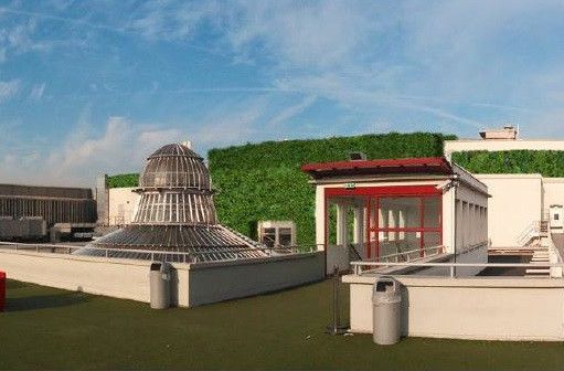 Paris sous les fraises, le toit végétal des Galeries Lafayette