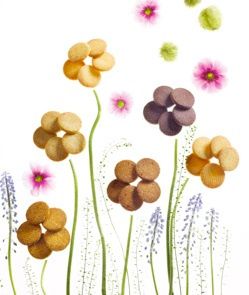 Pierre Marcolini lance ses glaces pour l'été