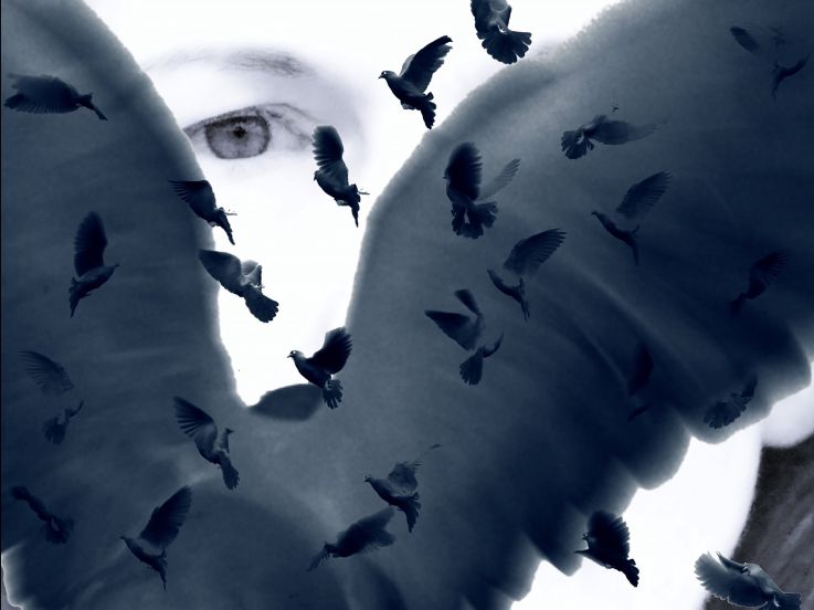 Nuit Blanche 2020 aux abords du Petit Palais