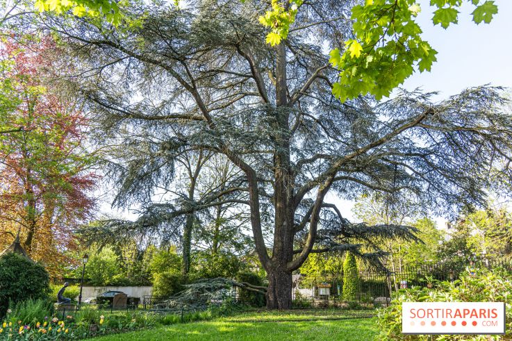 Insolite dans les Yvelines, la superbe grotte cascade du Parc du Dr Fauvel à Villennes-sur-Seine