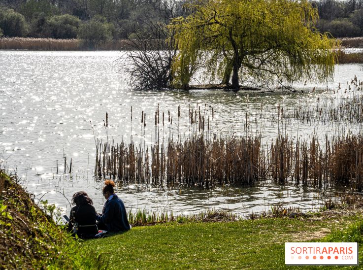 Où pique-niquer dans les Yvelines, les meilleurs bons plans aux superbes vues - étang des Noé - Mesnil saint dénis
