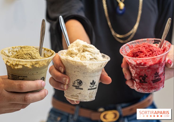 Les glaces granité-neige et crème glacées ultra rafraichissantes de Jade Génin pour se régaler 2024