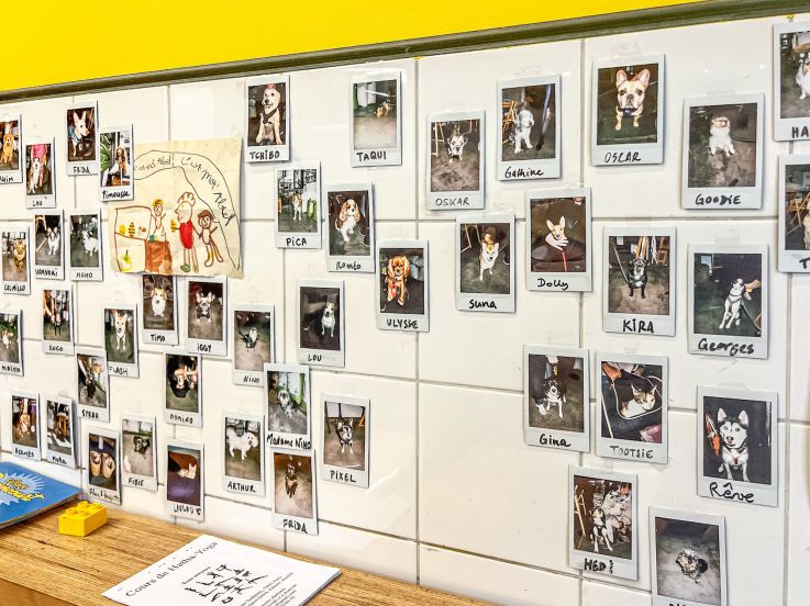 Emma Duvéré, la café-pâtisserie du 11e avec brunch et tea time