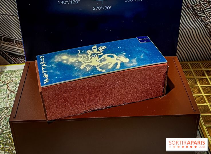 Les bûches de Noël 2024 de Jean-Paul Hévin, le maitre du chocolat : sagittarius