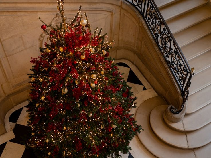 Top 10 des plus beaux Sapins de Noël à Paris 2024 : de quoi mettre des paillettes dans vos yeux