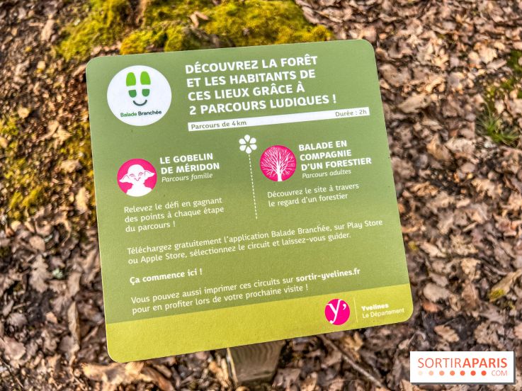 Balade interactive en forêt de Méridon : “Conte de Mélida, l’esprit de la forêt” dans les Yvelines