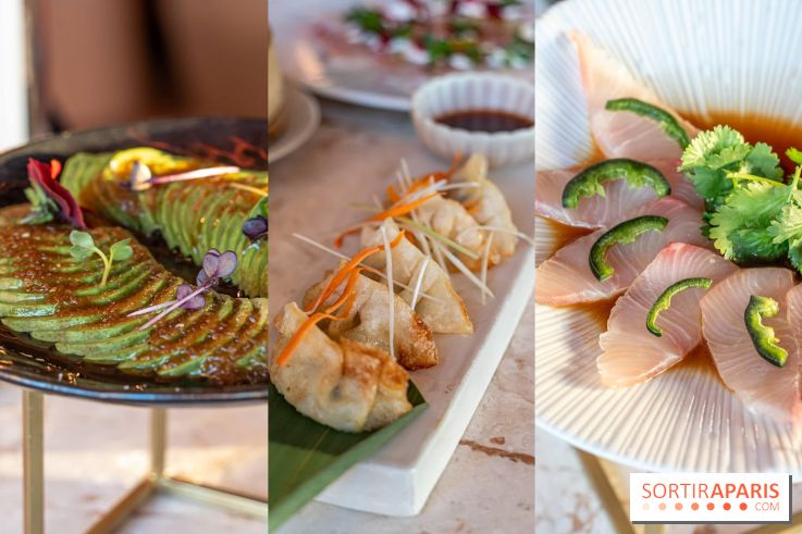 Kinugawa Rive Gauche, le restaurant-terrasse en rooftop franco-japonais de l'Hôtel Sax se dévoile