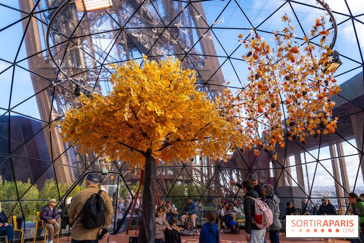 Bulle d'automne de la tour Eiffel : arbre géant et jeu grandeur nature au sommet de Paris