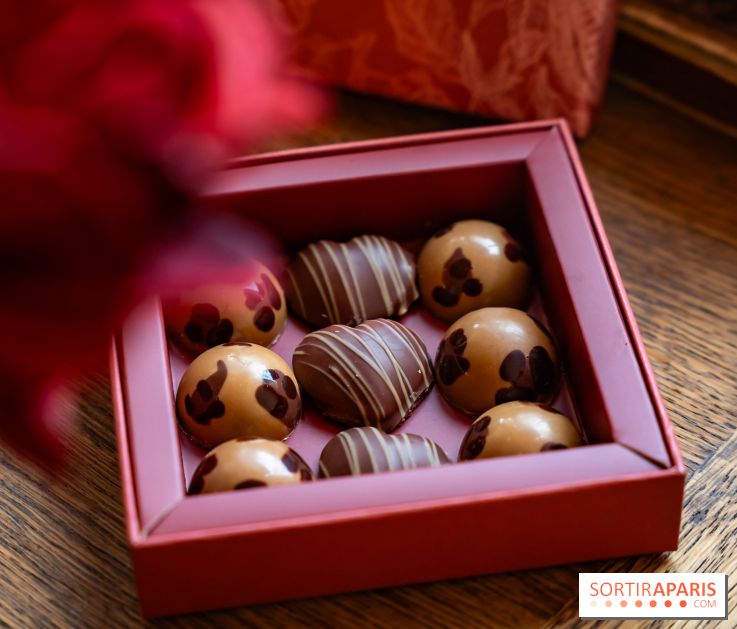 La Saint-Valentin 2026 au jardin Sucré, chocolats et tea time pour les amoureux