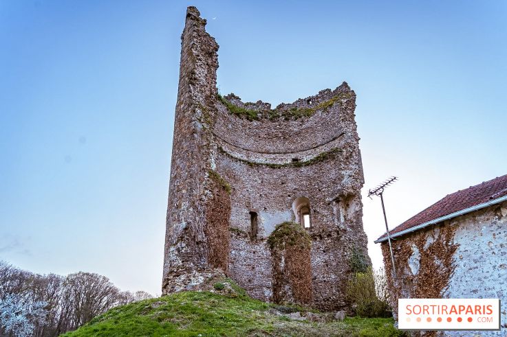 Connaissez-vous l'histoire de ce donjon médiéval des Yvelines, vestige d'un ancien Château Fort ?