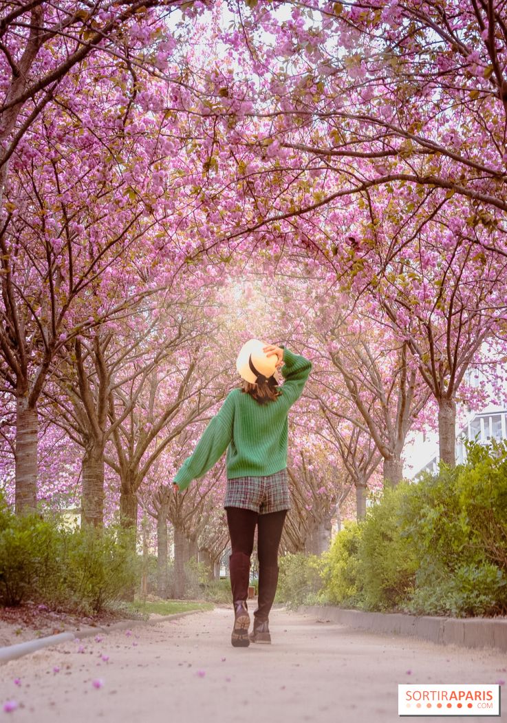 La Mail de Bièvre et ses cerisiers en fleurs, le spot Hanami caché Paris 13e