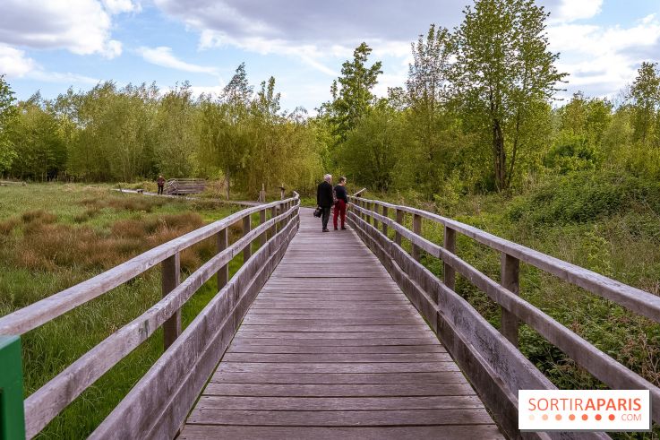Ile du Perthuis Seine et Marne 