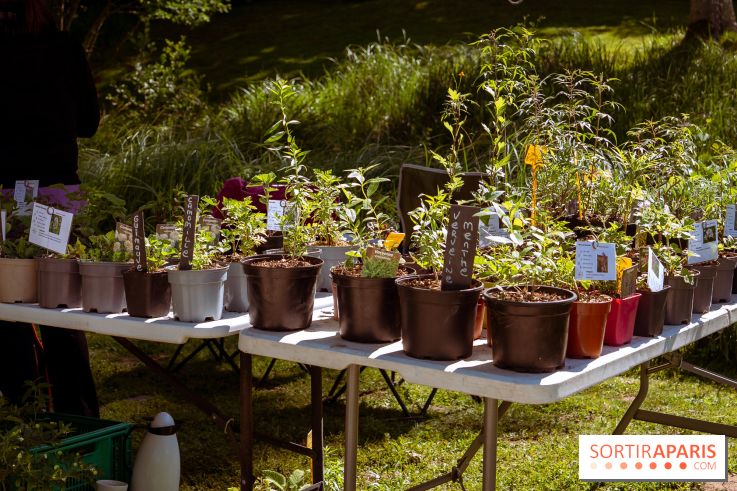 Les Naturiales 2026 à Fontainebleau : marché de plantes et animations nature en Seine-et-Marne