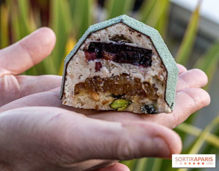 La Bûche de Noël Cigale de Bryan Exposition pour l'Institut Raphael