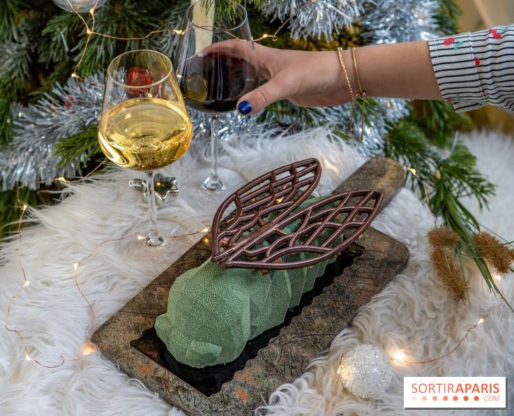 La Bûche de Noël Cigale de Bryan Exposition pour l'Institut Raphael