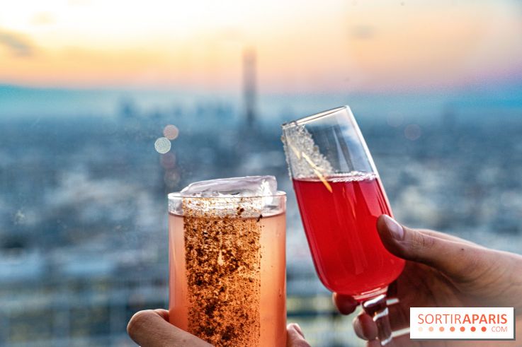 Le Skybar rooftop, le plus haut bar à ciel ouvert de Paris