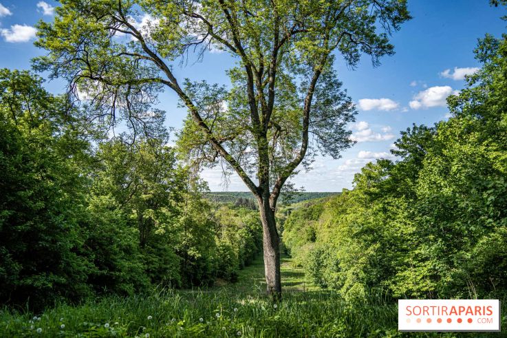 Le Château de Breteuil en photos, ses sublimes jardins et ses contes et animations