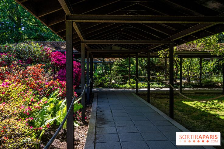 Le Parc Floral, un magnifique écrin de verdure à Paris