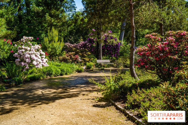 Le Parc Floral, un magnifique écrin de verdure à Paris