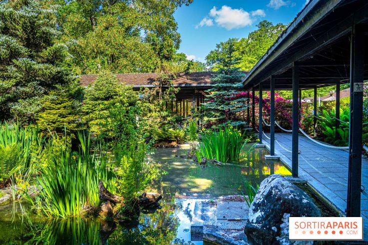 Les jardins japonais du Parc Floral de Paris au Bois de Vincennes 