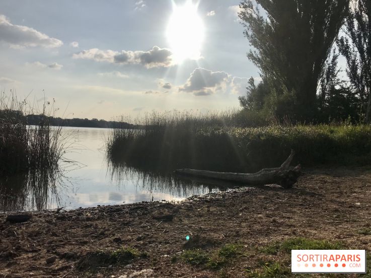 Où se faire un barbecue en Ile-de-France ?