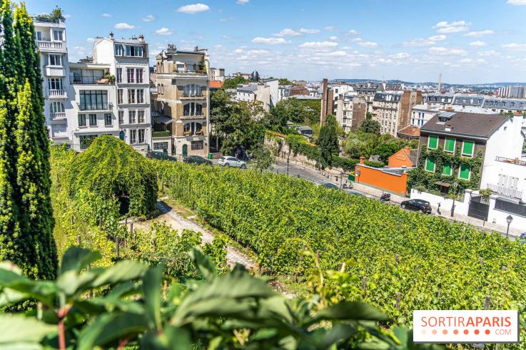 Le Café Renoir, la terrasse estivale cachée du Musée de Montmartre