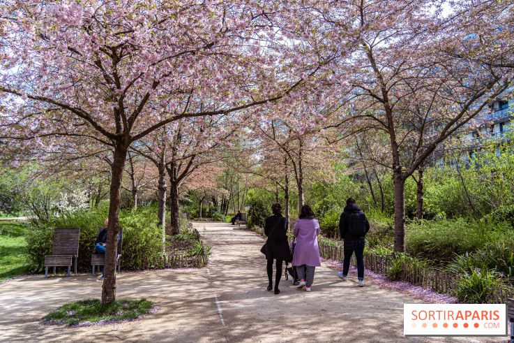 Où voir des cerisiers en fleurs à Paris et en Île-de-France : nos spots coup de cœur !