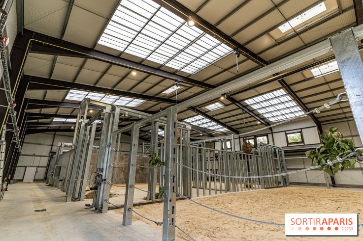 Les nouveaux lodges du Zoo de Thoiry en Terres d'Afrique : une immersion parmi les éléphants - La Maison des éléphants