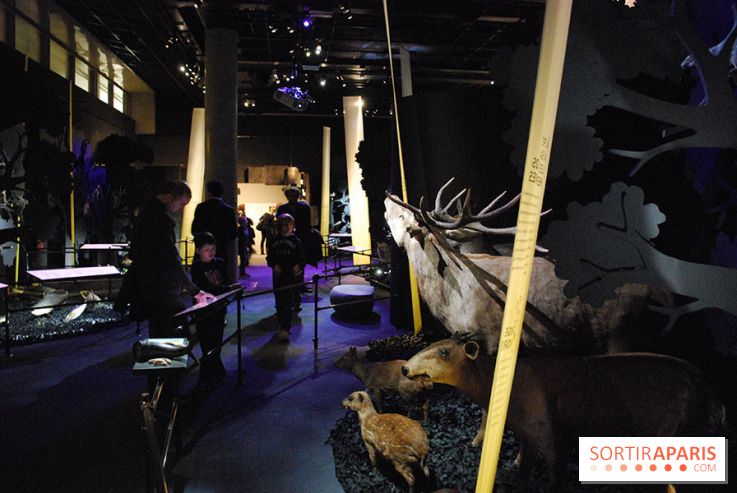 Exposition Nuit au Muséum Natinaol d'Histoire Naturelle