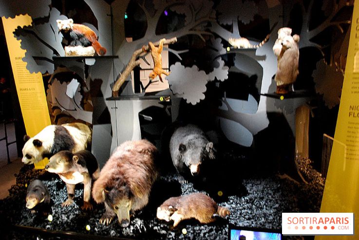 Exposition Nuit au Muséum Natinaol d'Histoire Naturelle