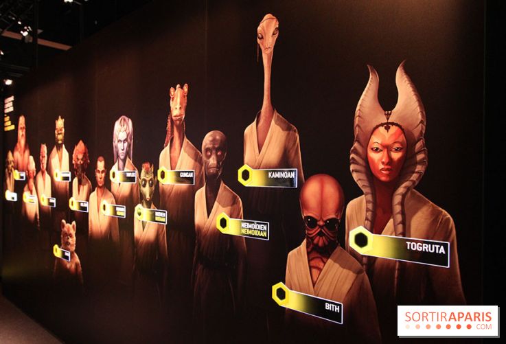 L'exposition Star Wars Identities à Paris