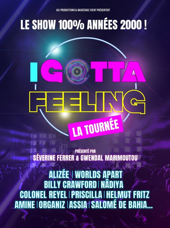 I Gotta Feeling : les stars des années 2000 en concert au Dôme de Paris - Palais des Sports en 2024