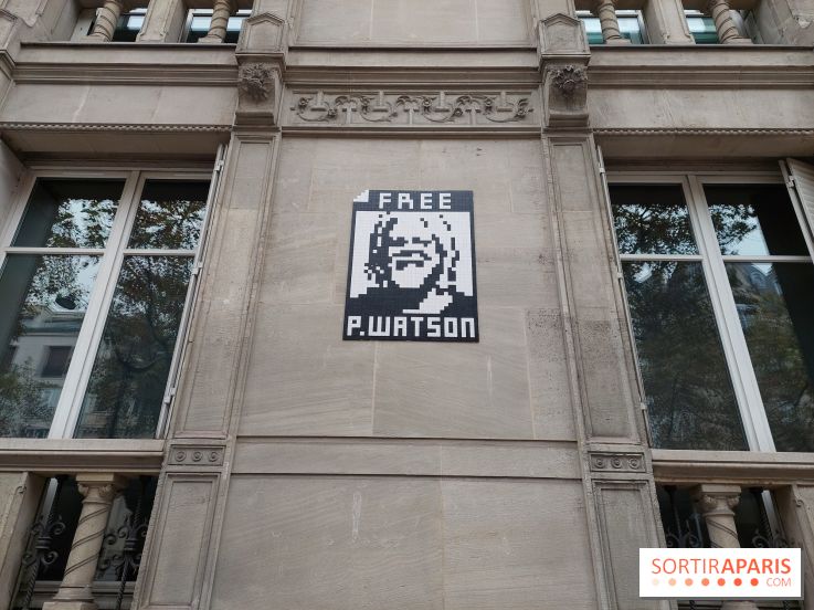 Paul Watson : Paris accorde la citoyenneté d'honneur au militant écologiste