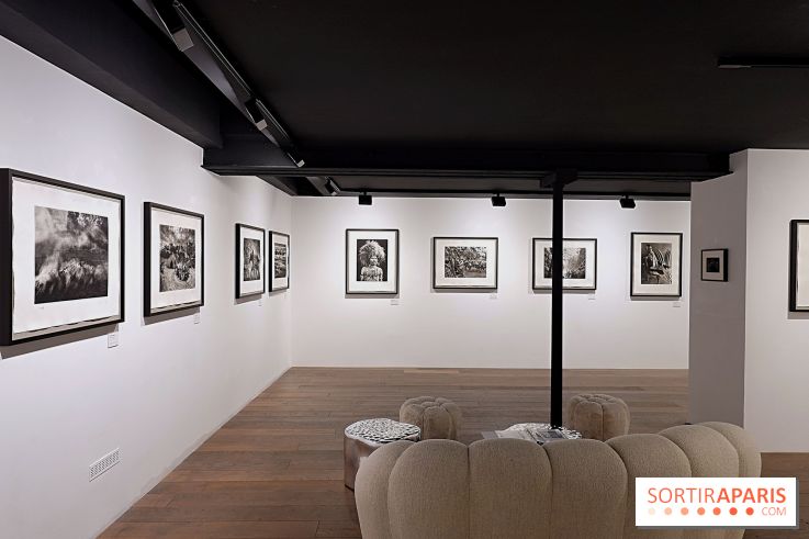 Sebastião Salgado présente son exposition "Genesis Platinum" à la Galerie Polka