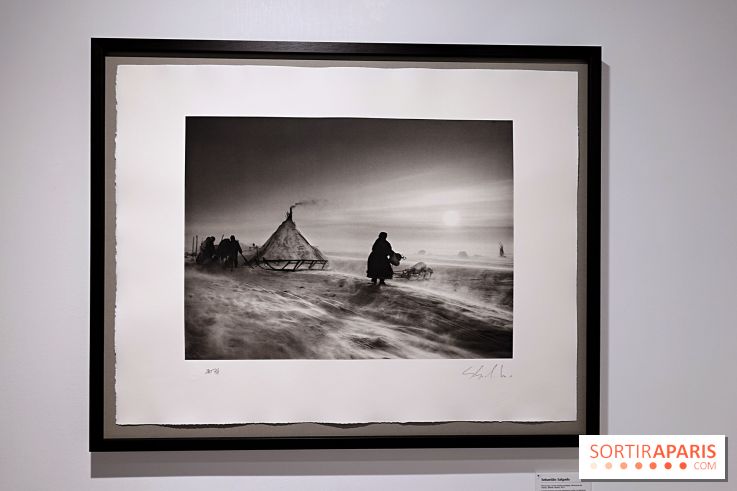 Sebastião Salgado présente son exposition "Genesis Platinum" à la Galerie Polka