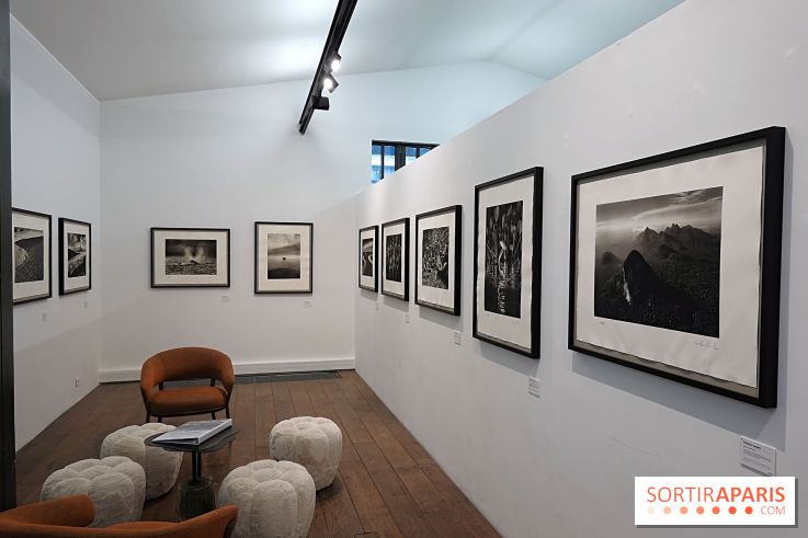 Sebastião Salgado présente son exposition "Genesis Platinum" à la Galerie Polka