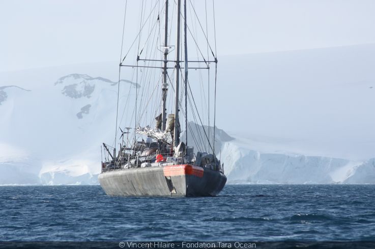 La goélette Tara amarrée à Paris : visites à bord et exposition à quai pour une plongée en Arctique