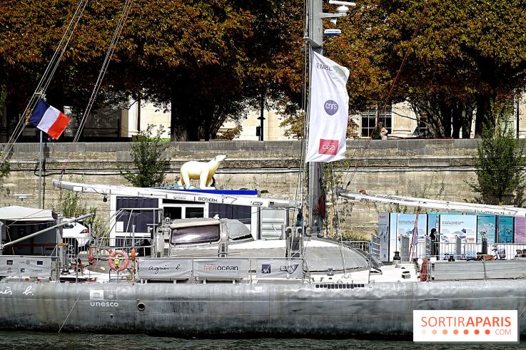 La goélette Tara amarrée à Paris : visites à bord et exposition à quai pour une plongée en Arctique