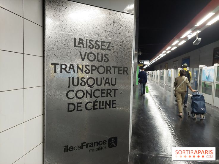 Concerts de Céline Dion à Paris : des perturbations annoncées sur les RER A et E en soirée
