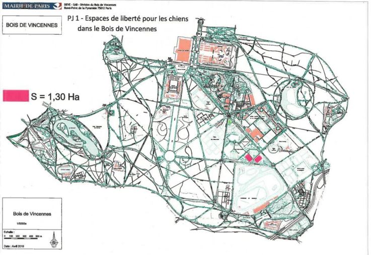 Les parcs, squares et jardins où promener son chien à Paris, avec ou sans laisse 