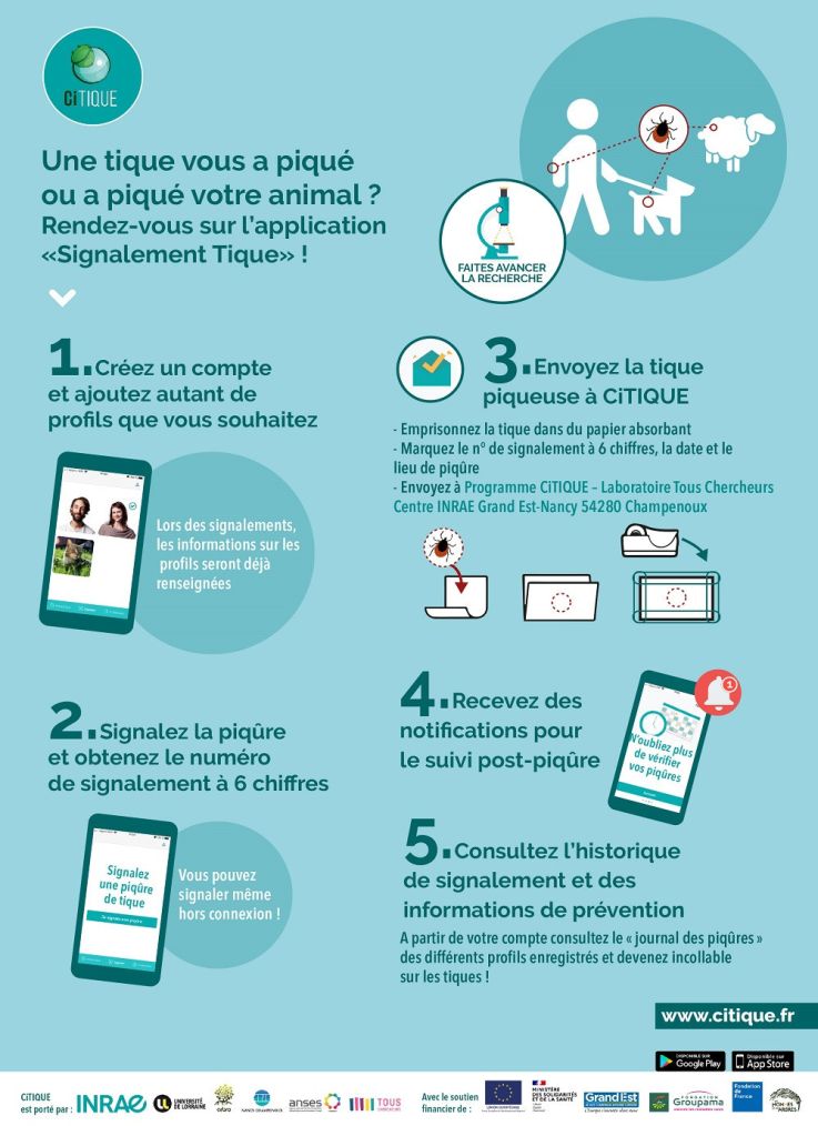 Attention aux tiques : une application gratuite et participative pour signaler le risque de piqûres